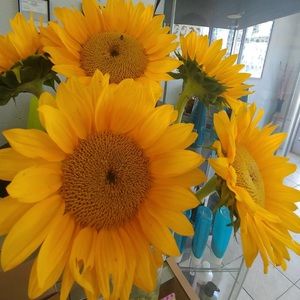 Meet your Posher, Lupita